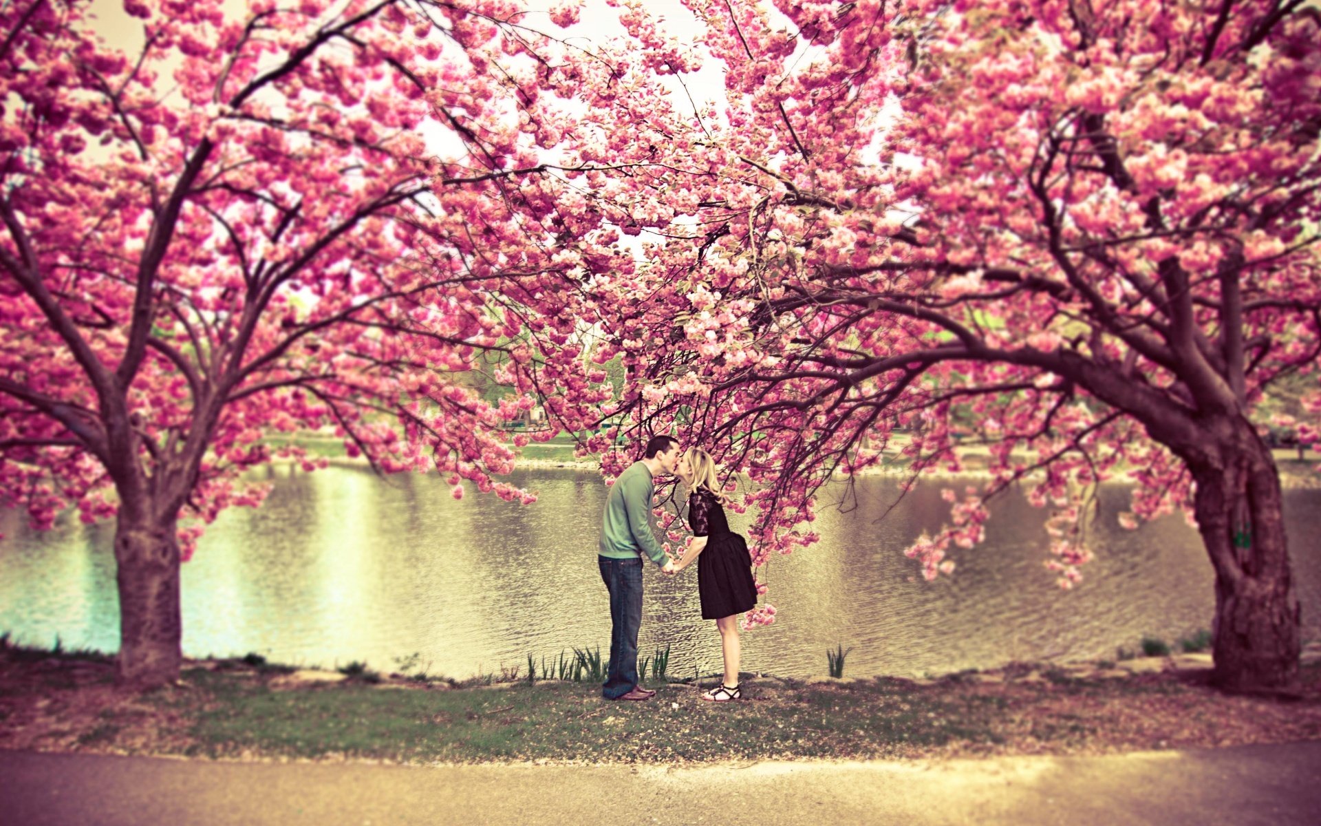 stimmung natur romantik jungs mädchen liebe freundschaft beziehungen kuss küssen wärme bäume herbst schönheit nostalgie