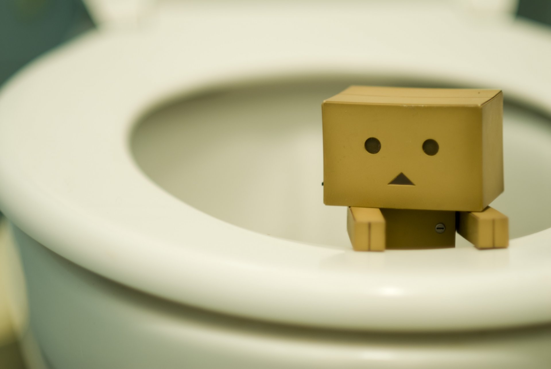 danbo box figurine toilet toilet bowl need