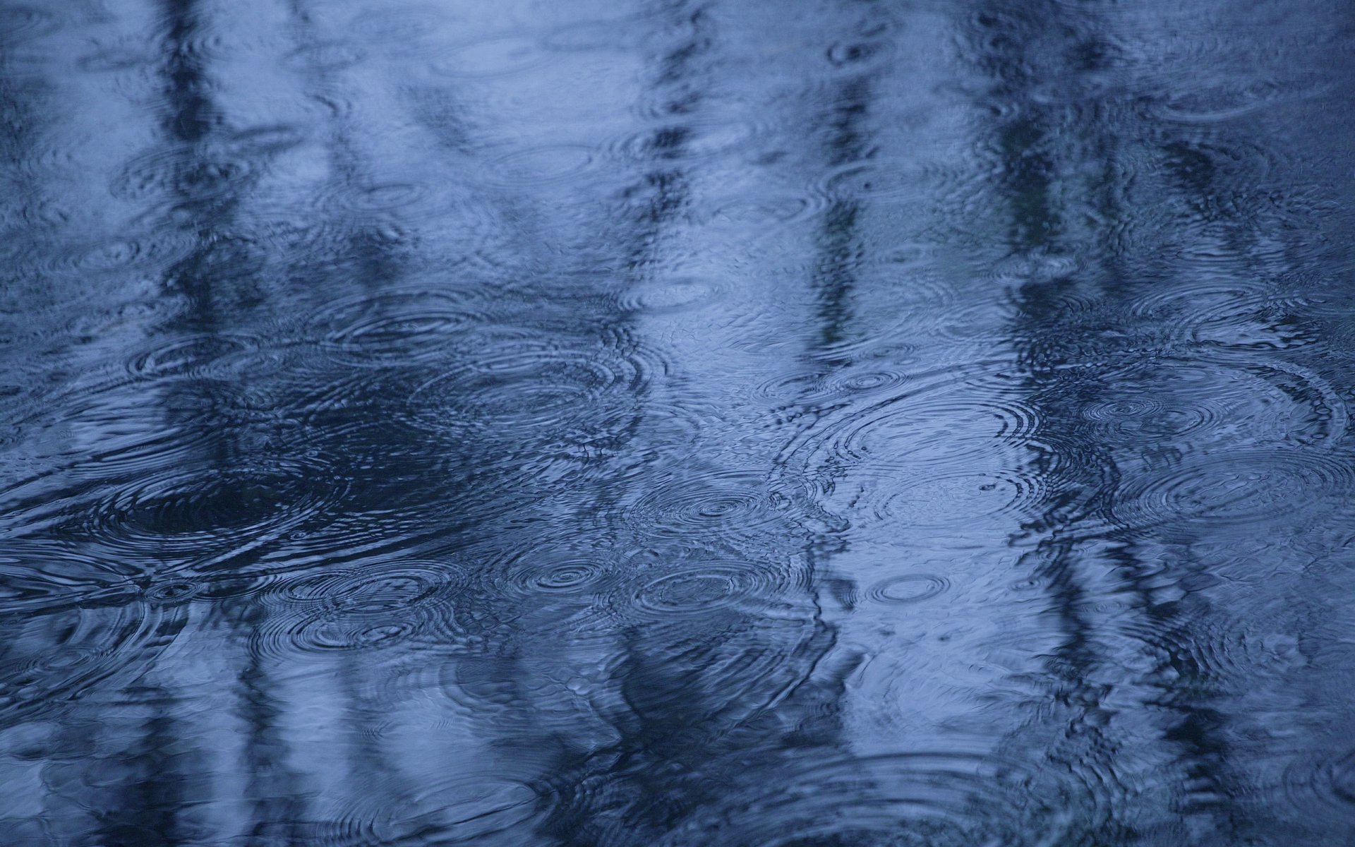 herbst regen pfütze reflexion wasser