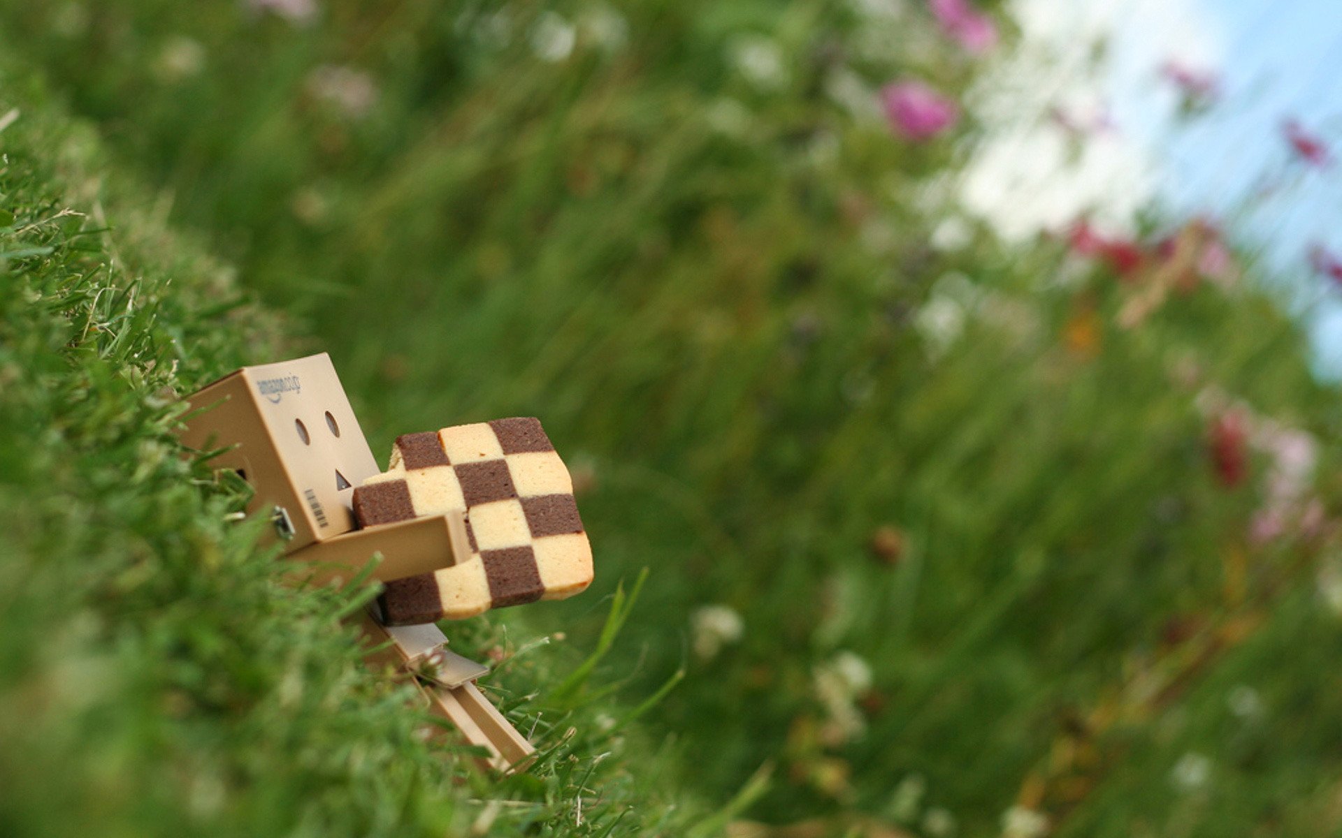 danbo коробочка печенье трава