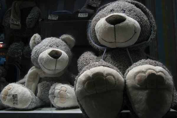 Plush big grey bears