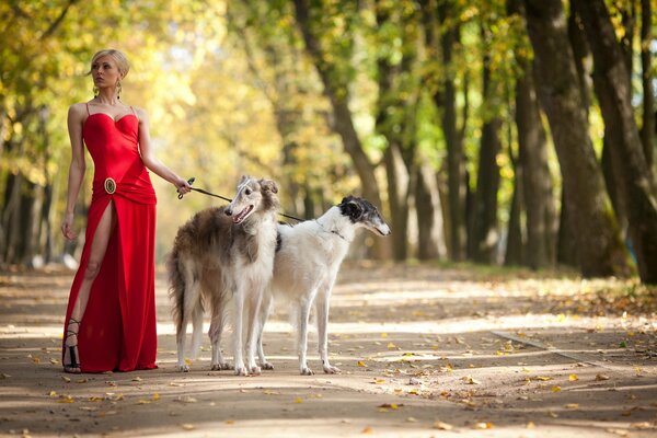 Fille avec deux chiens dans le parc