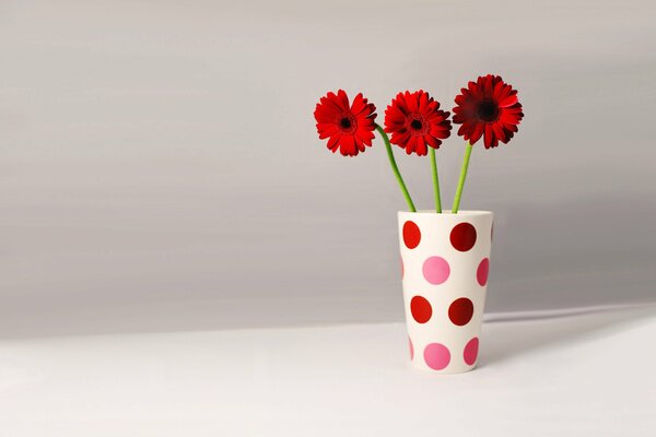 Gerberas en un jarrón de guisantes