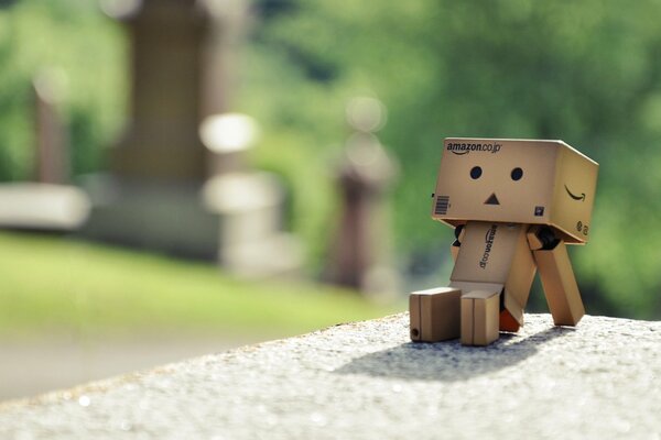 The man from the danbo boxes