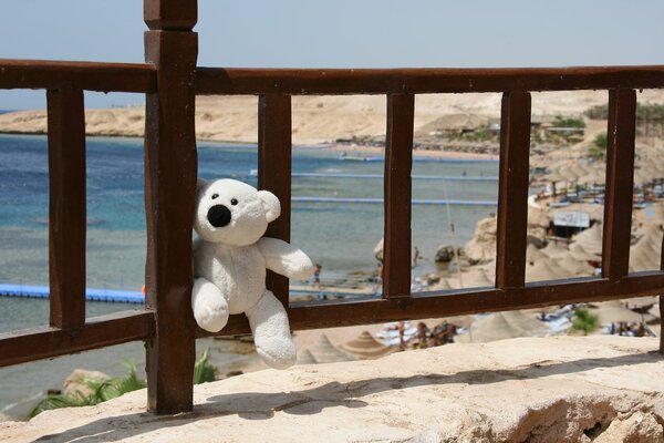 A lonely teddy bear on the balcony