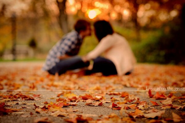 A couple in love is sitting on autumn foliage