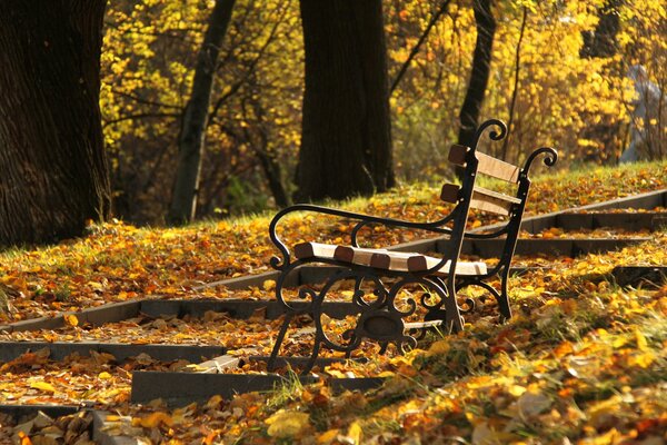 Bank neben der Treppe im Herbstpark