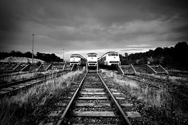 Trenes en blanco y negro en la vía del tren