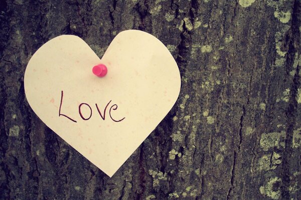 Cuore d amore sull albero