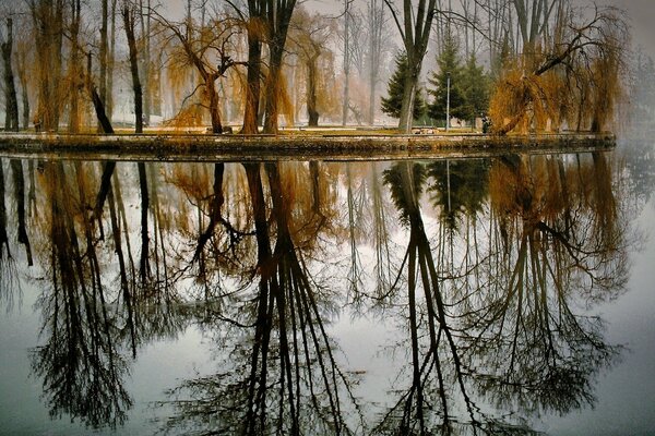 Autumn nature on the lake trees