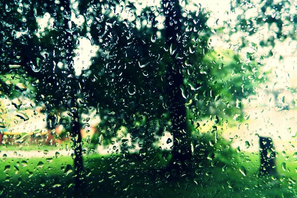 Gouttes de pluie sur le verre en été