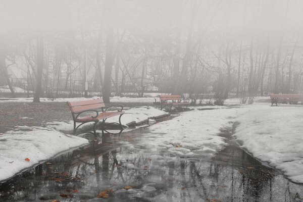 Melting snow in the park and fog