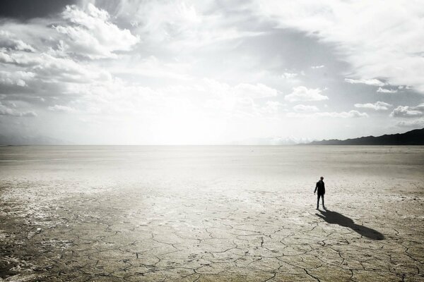 Loneliness in the desert. Feather clouds