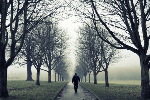 Die Stimmung der Einsamkeit ist ein Herbstspaziergang im Nebel entlang der Straße, an der die nackten Zweige der Bäume schwer hängen