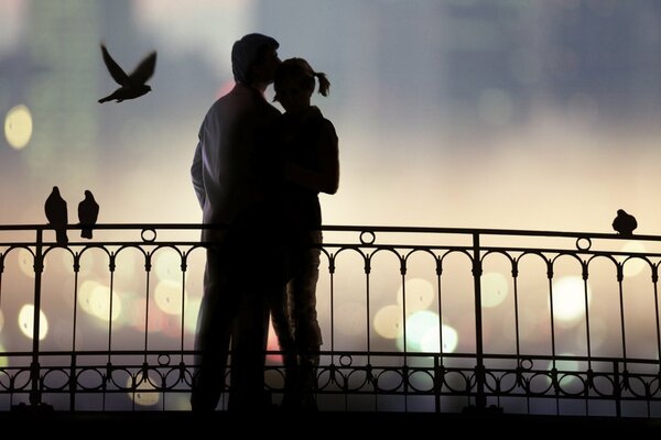 Evening love, tenderness and pigeons