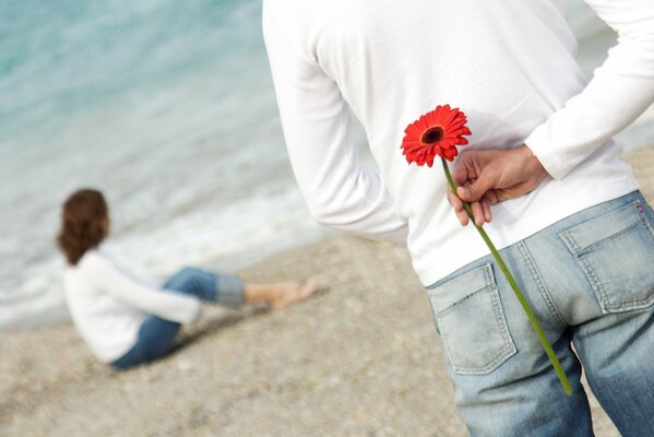 Romantic love of a red flower on the shore