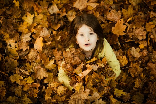 Golden autumn fascinates even a child with its leaves