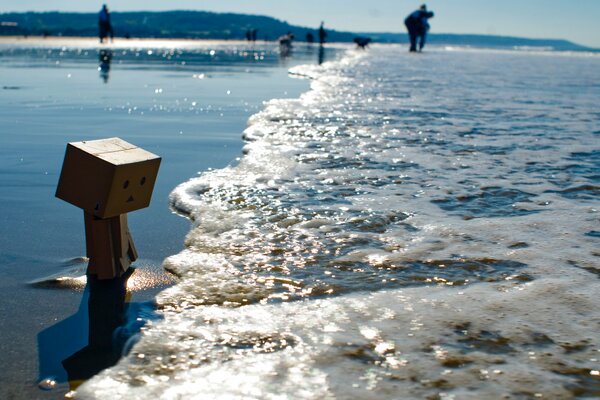 Hermosa imagen de la Pesca en el mar