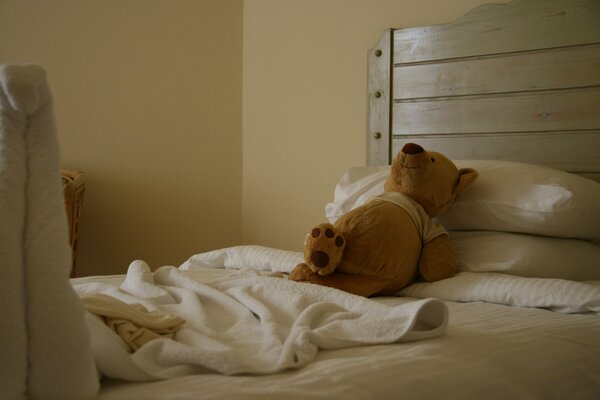 Teddy Bear is resting at the hotel