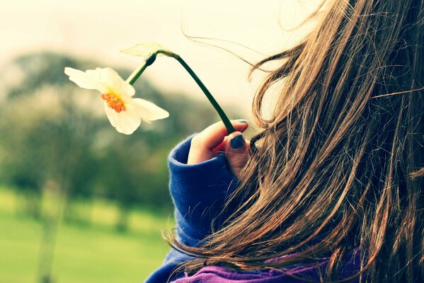 Girl with hair and daffodils