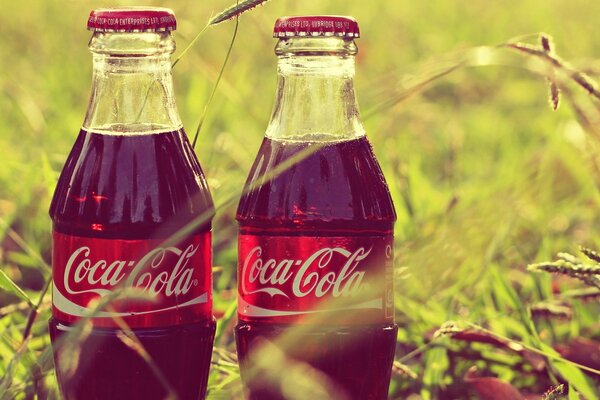 Bouteilles de coca-cola sur l herbe