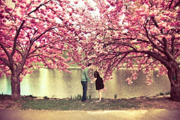 Bacio sulla natura tra gli alberi