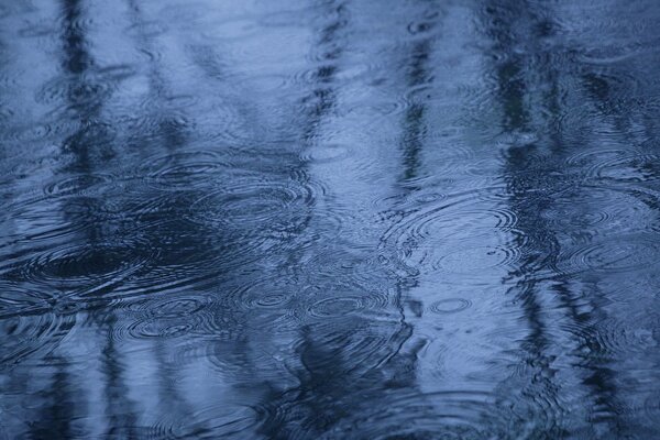 Lluvia de otoño en un charco