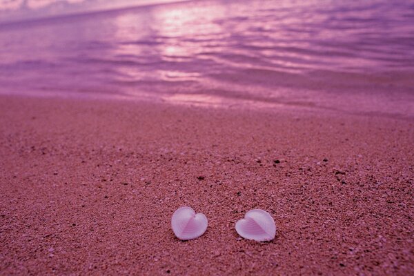 Deux coeurs de coquillages roses au bord de la mer