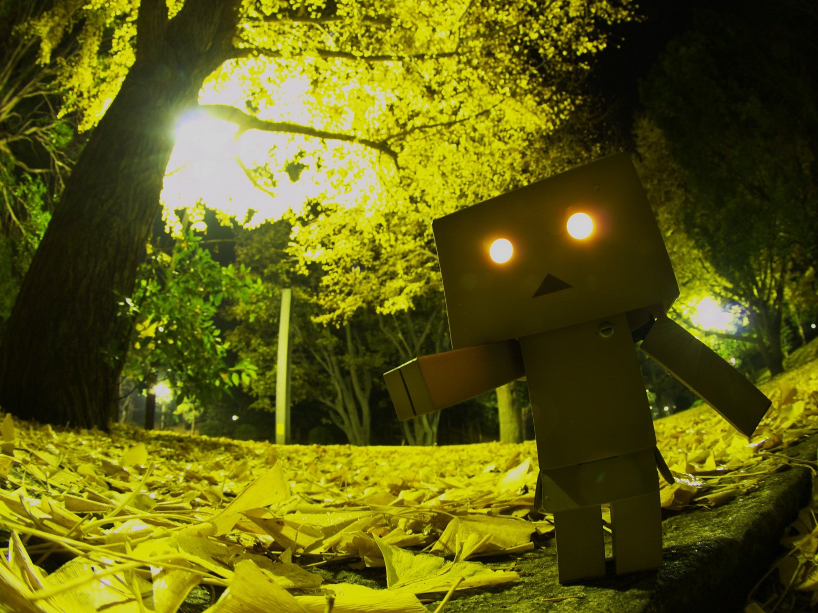 danboard danbo box zabawka robot park światło oczy horror liście drzewa