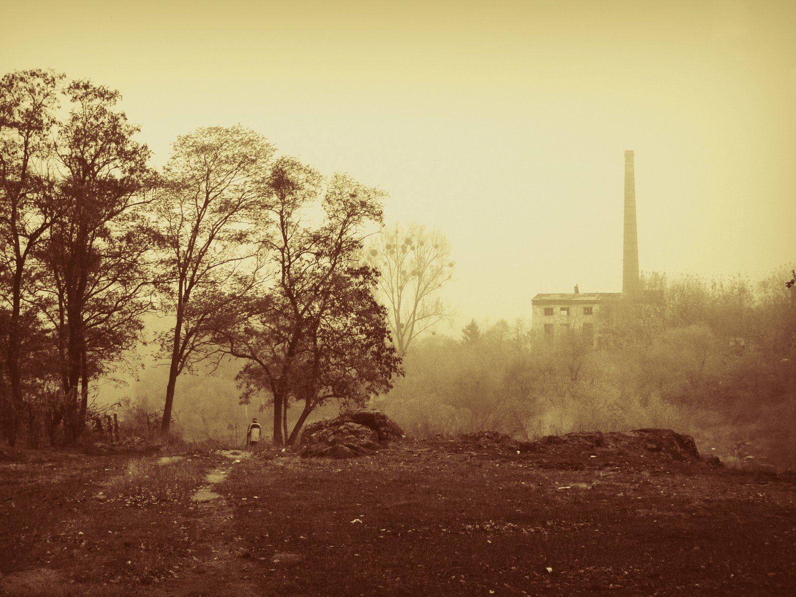 trąbka jesień mgła sepia miasto