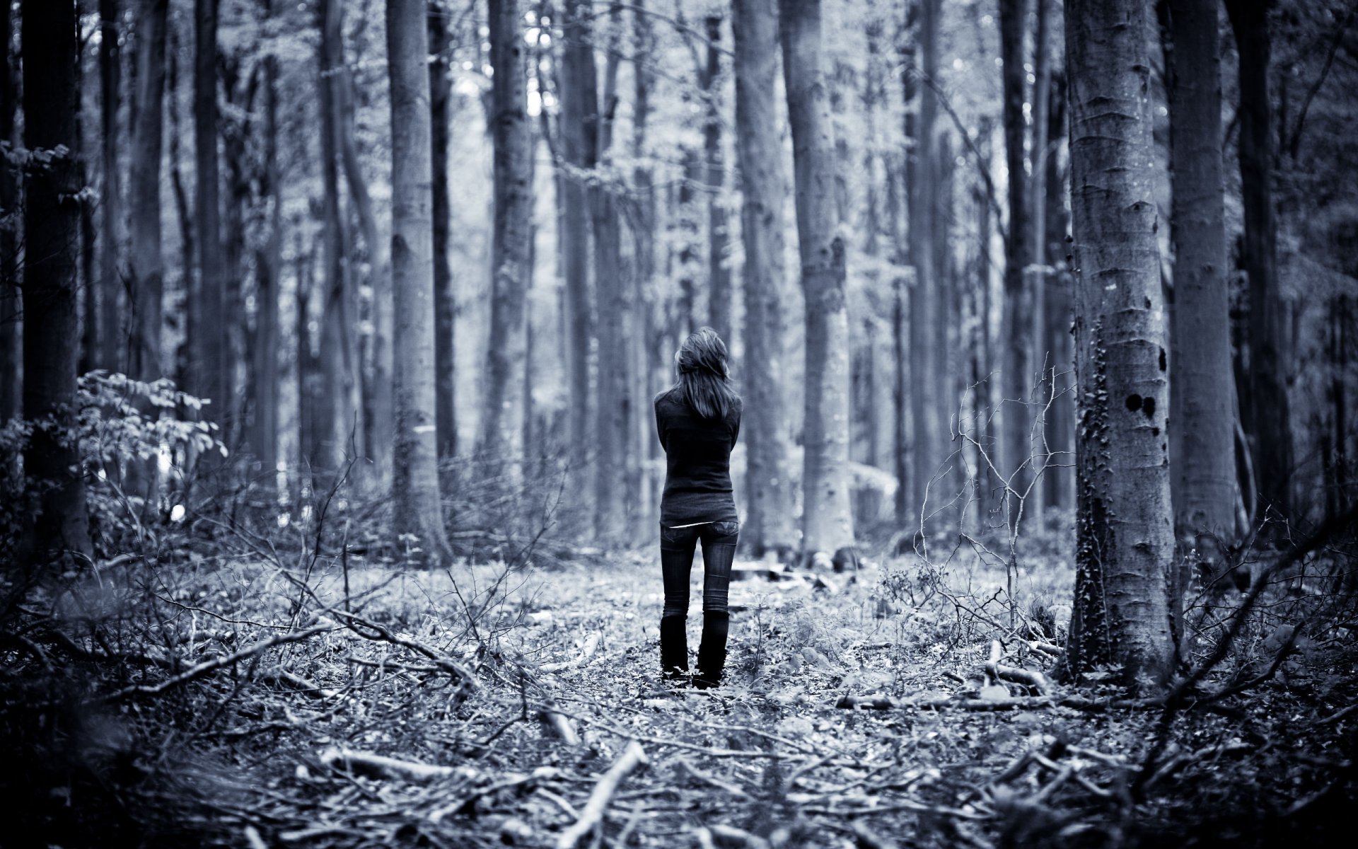 chicas caminando por bosque sola