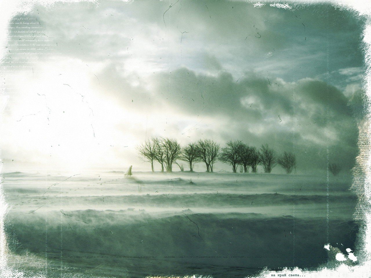 behandlung traurigkeit winter bäume