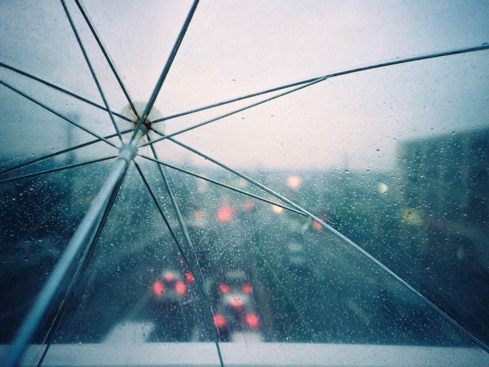 regenschirm tropfen regen lichter