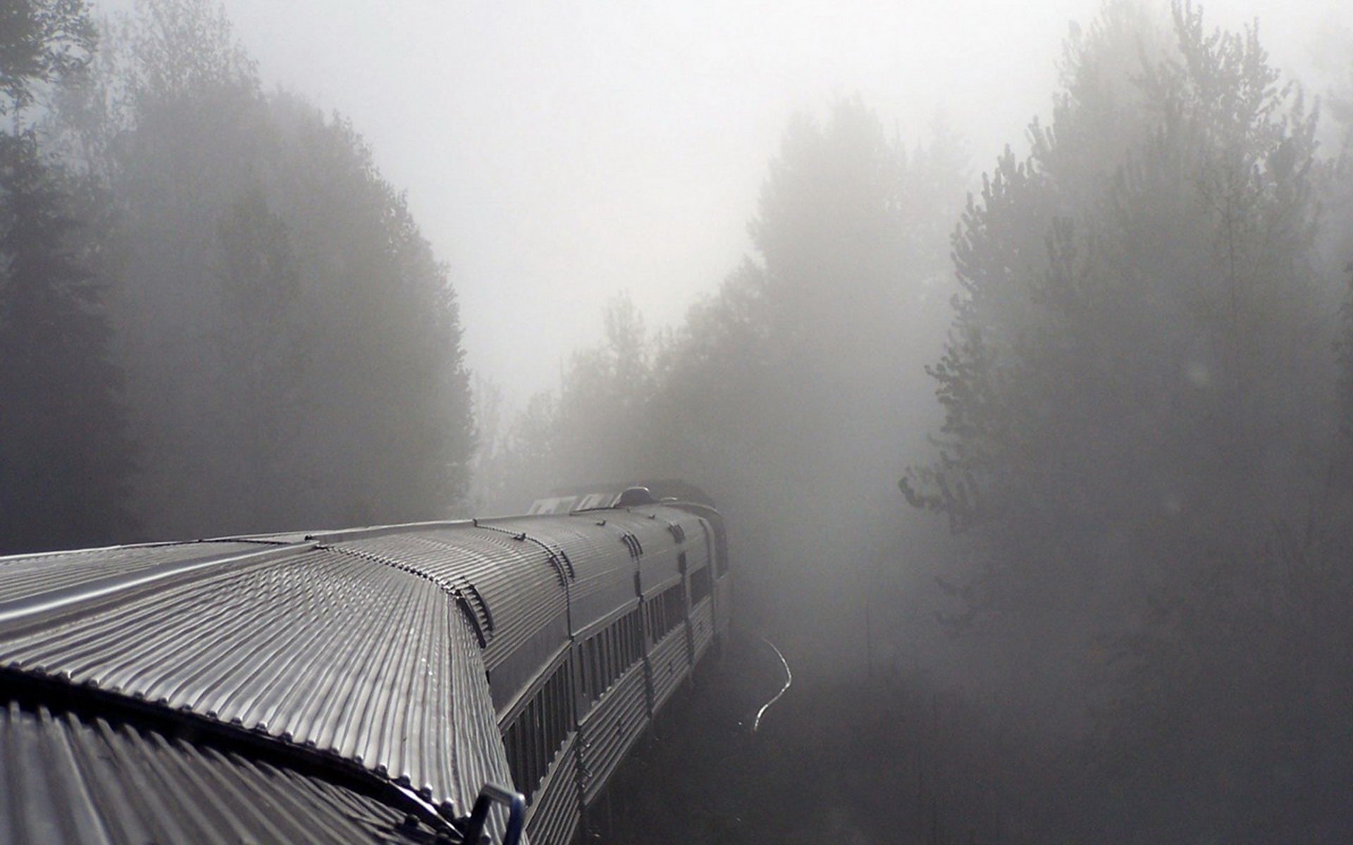 niebla tren vagones