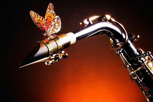 A butterfly sits on the tip of a saxophone