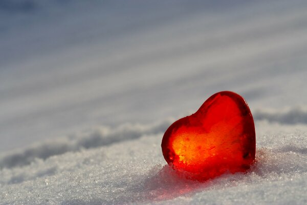 Pequeño corazón de cristal rojo en la nieve blanca