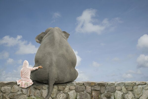 The girl hugs the elephant in a friendly way