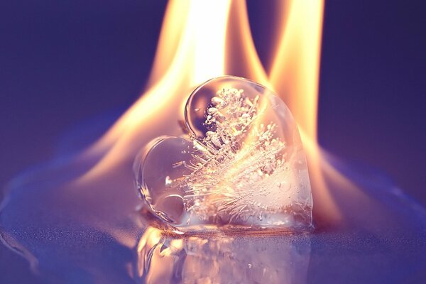 Coeur de glace avec une flamme brûlante