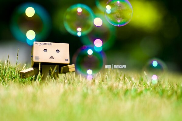 Danbo im Gras und Seifenblasen