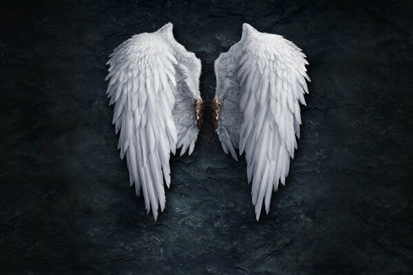 Angel wings on a dark wall