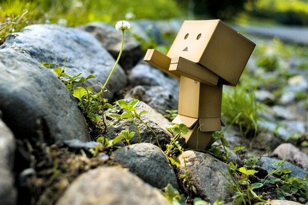 Danbo gets to know the amazing nature