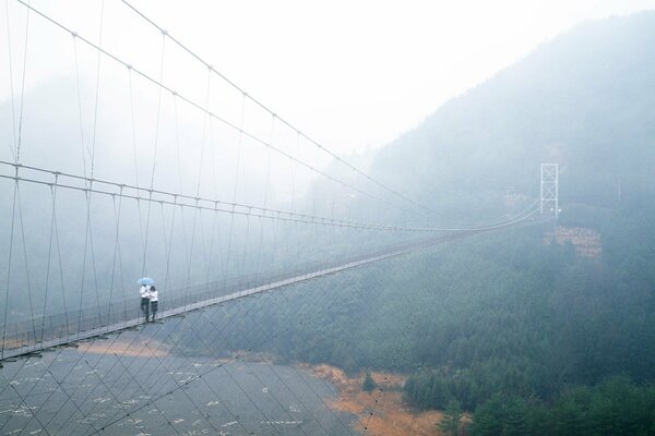 A suspension bridge stretches between the mountains