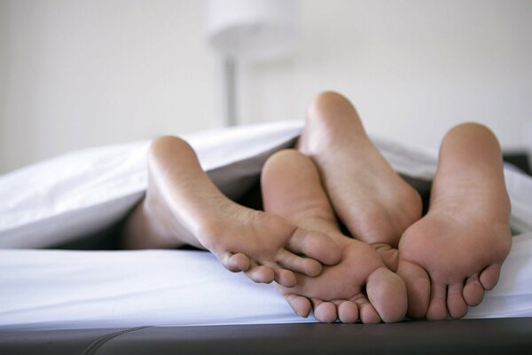 Lovers feet from under the blanket