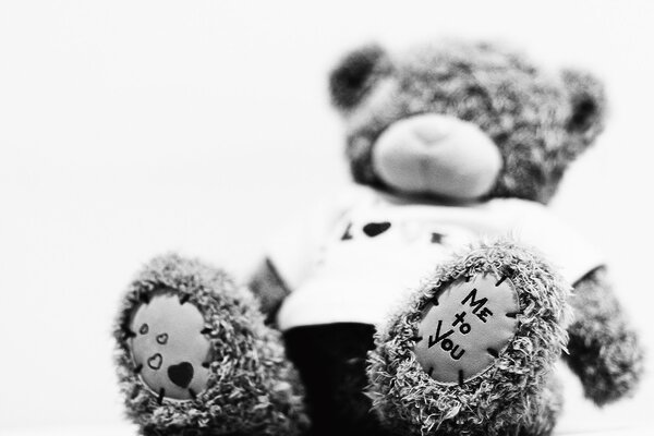 Black and white teddy bear