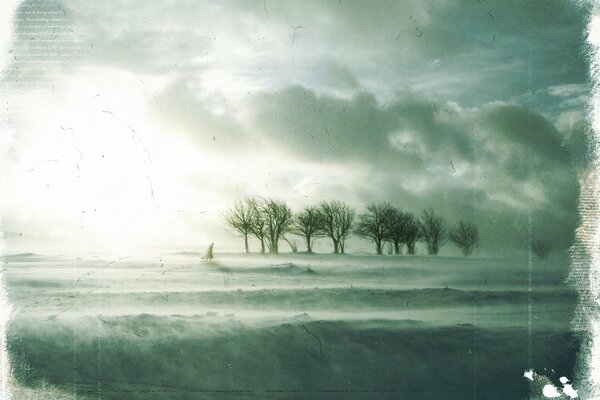 Photo winter blizzard trees