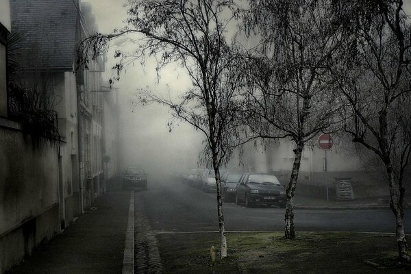 Nebel kriecht auf Autos und Bäume, die im Hof stehen