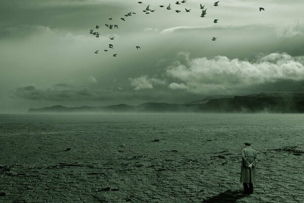 Même les oiseaux s envolent. Solitude