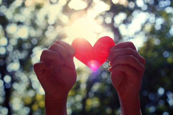 Valentine dans les mains au soleil