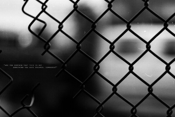 Black and white photo of a latticed fence