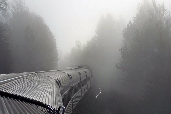 Train Monte dans la forêt brumeuse